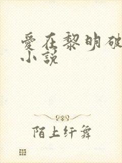 爱在黎明破晓前小说封面