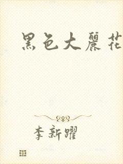 黑色大丽花图片封面