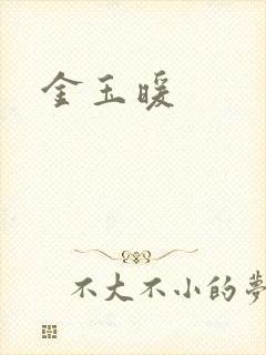 金玉暖封面