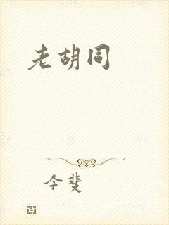 老胡同