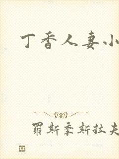 丁香人妻小说