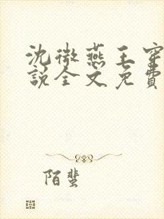 沈微燕王穿越小说全文免费阅读封面