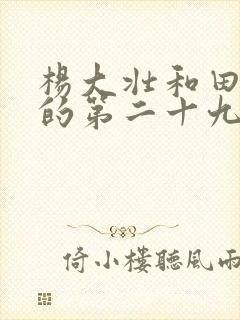 杨大壮和田桂花的第二十九