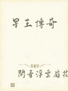 星王传奇