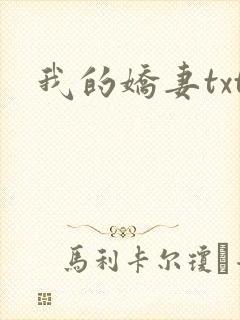 我的娇妻txt