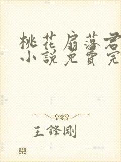 桃花扇落君不还小说免费完整版