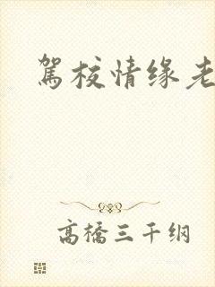 驾校情缘老赵封面
