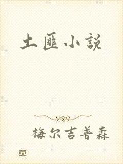土匪小说