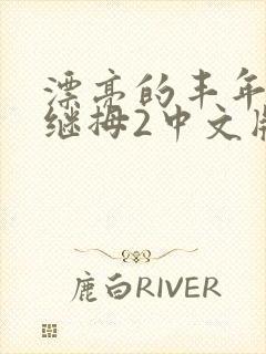 漂亮的丰年经的继拇2中文版封面