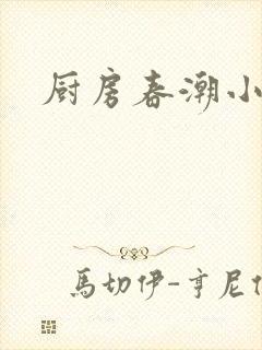 厨房春潮小说