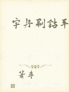 宇丹刷钻平台