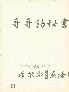 哥哥的秘书