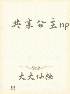 共享公主npc