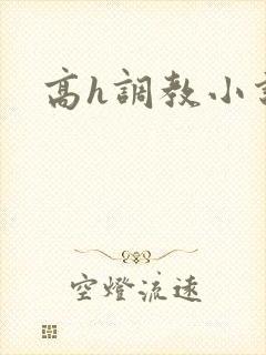 高h调教小说