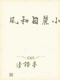 风和日丽小说封面