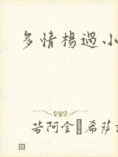 多情杨过小说封面