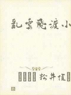 乱云飞渡小说