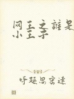 网王之谁是我的小王子封面