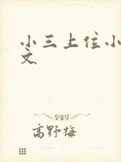 小三上位小说全文