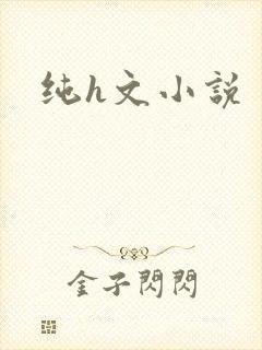 纯h文小说