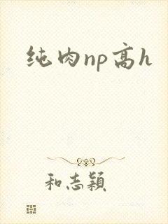 纯肉np高h