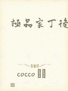 极品家丁后传