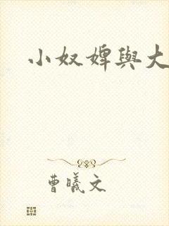 小奴婢与大少爷