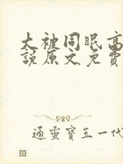 大被同眠高粱小说原文免费阅读封面
