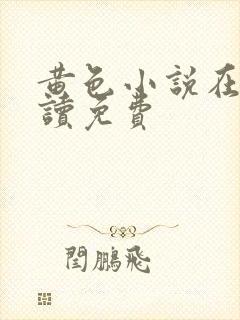 黄色小说在线阅读免费