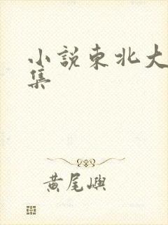 小说东北大炕全集