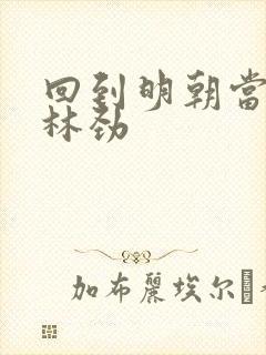 回到明朝当王爷林劲