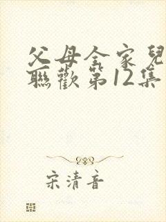 父母全家儿女大联欢第12集封面