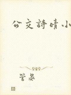 公交诗晴小说