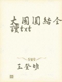 大团圆结全文阅读txt