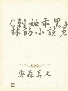 C到她乖黑暗森林的小说免费封面