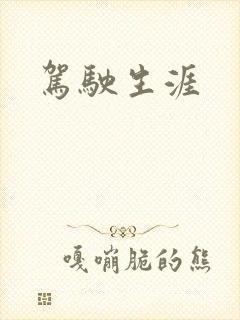 驾驶生涯封面
