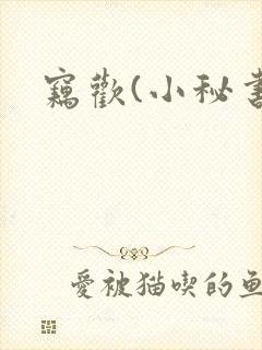 窃欢(小秘书)封面