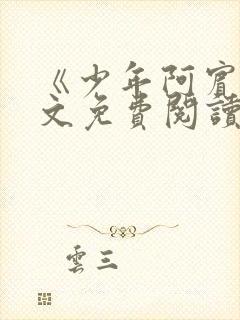 《少年阿宾》全文免费阅读