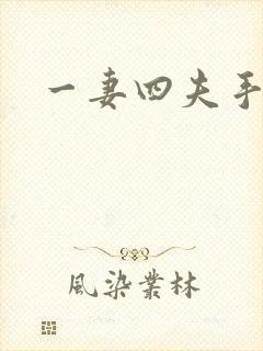 一妻四夫手记