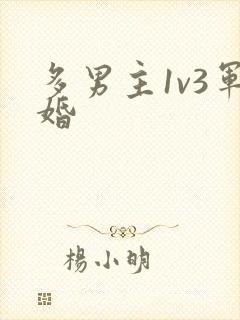 多男主1v3军婚
