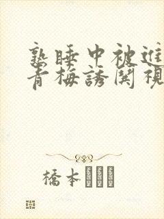 熟睡中被进了H青梅诱哄视频
