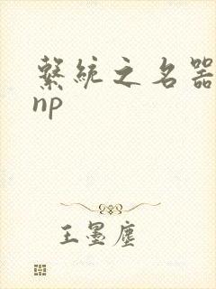 系统之名器攻略np