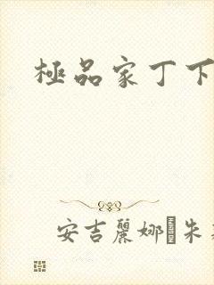 极品家丁下载