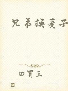 兄弟换麦子4