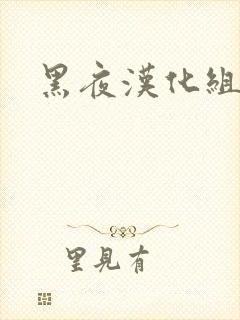 黑夜汉化组封面