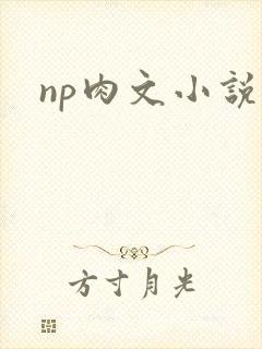 np肉文小说