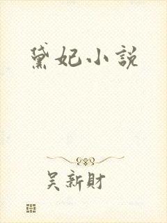 黛妃小说