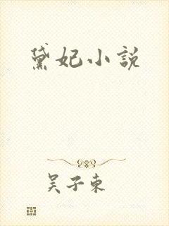 黛妃小说