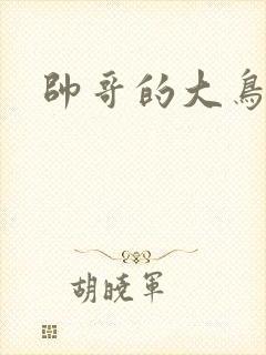 帅哥的大鸟