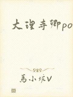 大理寺卿po封面